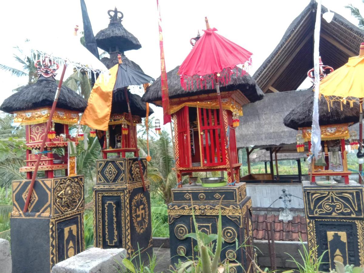 Pondok Diana Arta Jasri Esterno foto