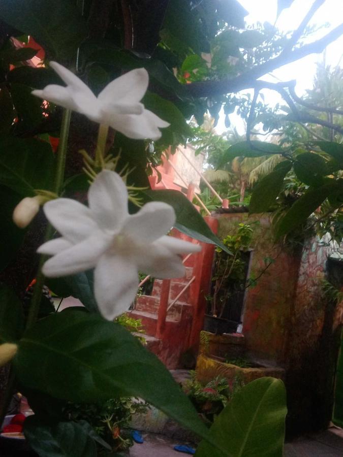 Pondok Diana Arta Jasri Esterno foto