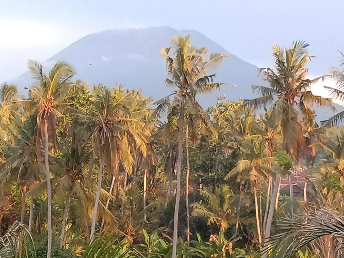 Pondok Diana Arta Jasri Esterno foto