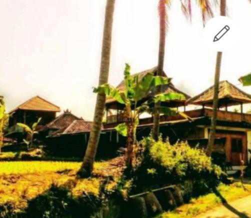 Pondok Diana Arta Jasri Esterno foto